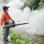 病毒大亂鬥1／登革熱燒不停！中秋前沒壓下恐更糟　忽略「這動作」百隻病蚊一次誕生