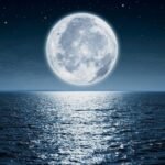 NASA：月球“摆动”十年后剧变，沿海城市或每天遭遇洪水